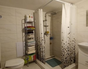 Maison 3 chambres à vendre dans Cluj-napoca, zone Iris