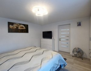 Maison 3 chambres à vendre dans Cluj-napoca, zone Iris