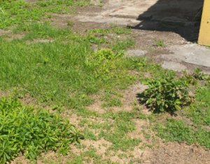 Maison 3 chambres à louer dans Cluj-napoca, zone Centru