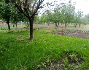 Maison 3 chambres à vendre dans Jucu De Sus, zone Centru