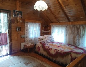 Maisons de vacances à vendre dans Baisoara