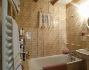 Maisons de vacances à vendre dans Baisoara