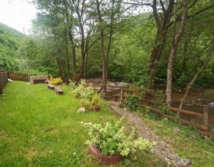 Maisons de vacances à vendre dans Baisoara