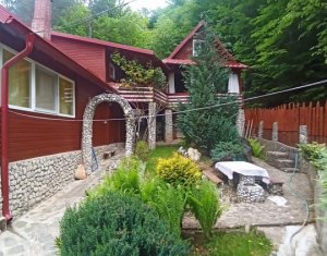 Maisons de vacances à vendre dans Baisoara