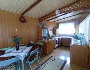 Maisons de vacances à vendre dans Baisoara