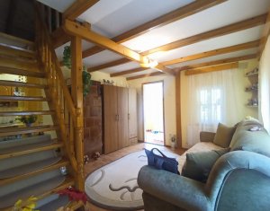 Maisons de vacances à vendre dans Baisoara