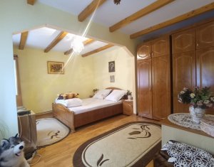 Maisons de vacances à vendre dans Baisoara