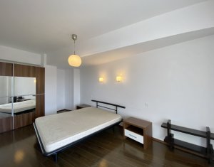 Appartement 2 chambres à louer dans Cluj-napoca, zone Plopilor