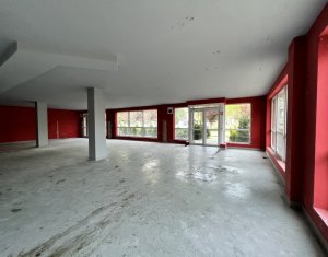 Spatiu comercial - showroom 383mp, Marasti, zona caminele UTCN 
