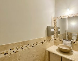 Appartement 12 chambres à louer dans Cluj-napoca, zone Centru