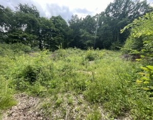 Terrain à vendre dans Cluj-napoca, zone Faget