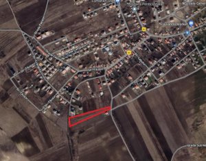 , 5800m2 dans Dezmir