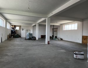Espace Commercial à louer dans Cluj-napoca, zone Bulgaria
