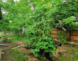 Telek eladó on Cluj-napoca, Zóna Gheorgheni