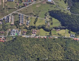 Terrain à vendre dans Floresti