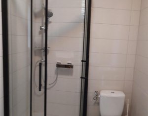 Appartement 3 chambres à louer dans Cluj-napoca, zone Iris