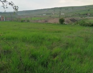 , 1000m2 dans Cluj-napoca, zone Sopor