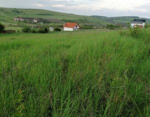 Terrain à vendre dans Cluj-napoca, zone Sopor