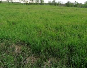 Terrain à vendre dans Cluj-napoca, zone Sopor