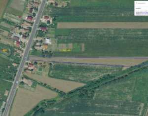 , 5650m2 on Fundatura