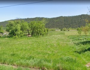 Terrain à vendre dans Fundatura