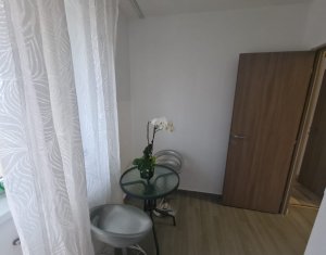 Appartement 2 chambres à louer dans Cluj-napoca