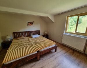 Nyaralók eladó on Baisoara