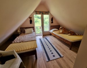 Nyaralók eladó on Baisoara