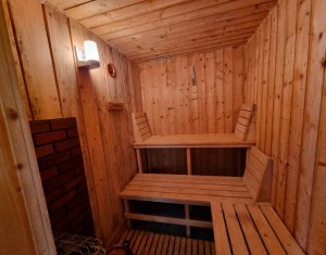 Nyaralók eladó on Baisoara