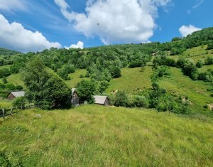 Nyaralók eladó on Baisoara