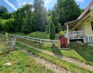 Nyaralók eladó on Baisoara