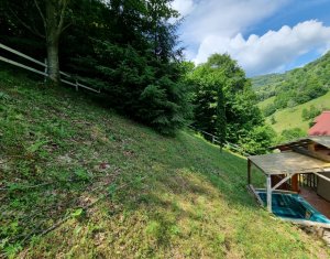 Nyaralók eladó on Baisoara