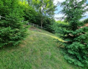 Nyaralók eladó on Baisoara