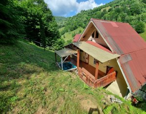 Nyaralók eladó on Baisoara