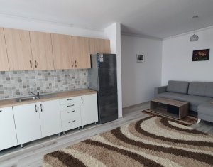 Lakás 2 szobák kiadó on Floresti