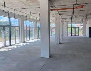 Espace Commercial à louer, 499m2 dans Cluj-napoca, zone Marasti