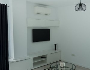 Appartement 2 chambres à louer dans Cluj-napoca, zone Intre Lacuri