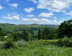 Terrain à vendre dans Muntele Baisorii