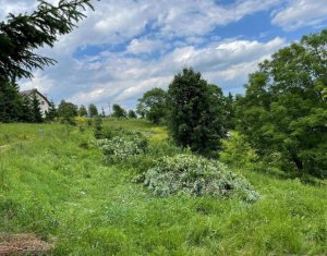 Terrain à vendre dans Muntele Baisorii