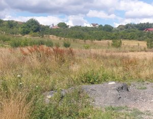 Maison 5 chambres à vendre dans Cluj-napoca, zone Borhanci