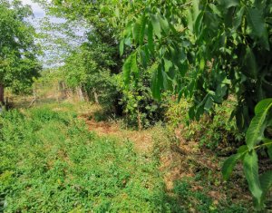 Maison 5 chambres à vendre dans Turda, zone Centru