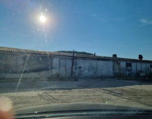 Terrain à vendre dans Gilau