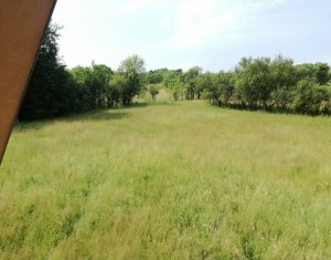 Ház 3 szobák eladó on Panticeu