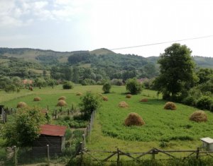 Ház 3 szobák eladó on Panticeu