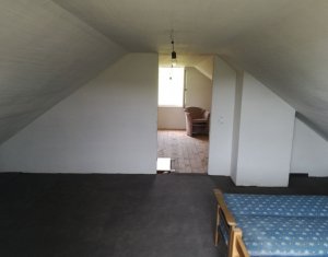 Ház 3 szobák eladó on Panticeu