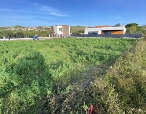 Terrain à vendre dans Cluj-napoca, zone Borhanci