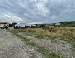 Terrain à vendre dans Cluj-napoca, zone Borhanci