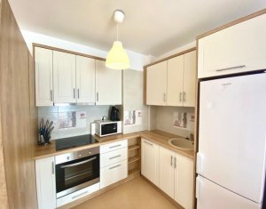 Appartement 2 chambres à louer dans Cluj-napoca, zone Gheorgheni