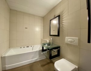 Appartement 2 chambres à louer dans Cluj-napoca, zone Plopilor