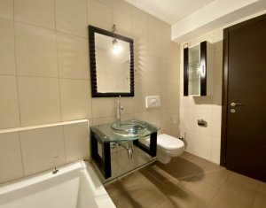 Appartement 2 chambres à louer dans Cluj-napoca, zone Plopilor